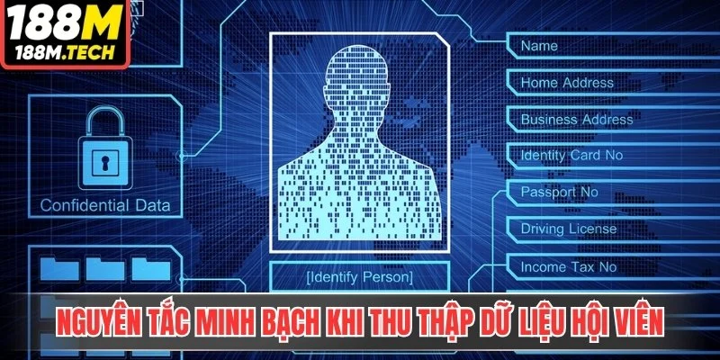 Nguyên tắc minh bạch khi thu thập dữ liệu hội viên 